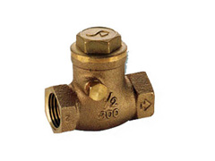 Sanwa Swing Check Valve